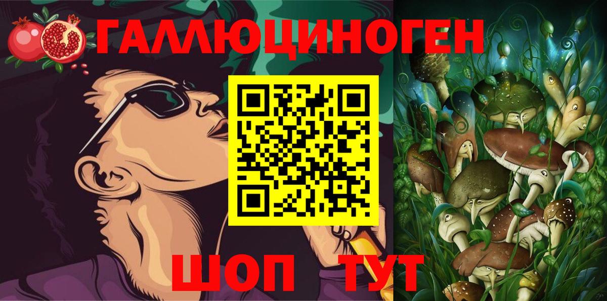 Псилоцибиновые грибы GOLDEN TEACHER  Вход с VPN  Славянск-на-Кубани 